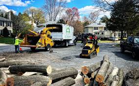 Best Lawn Maintenance Plans  in Wildwood, TN