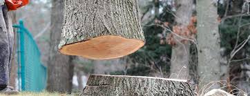 Best Lawn Pest Prevention  in Wildwood, TN