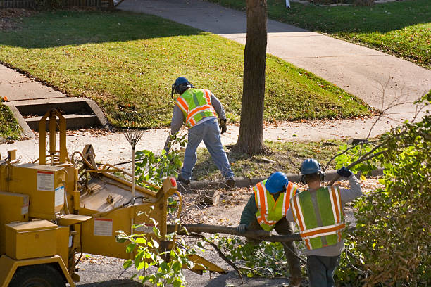 Best Soil Testing and Treatment  in Wildwood, TN